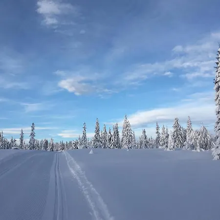 3 Bedroom Lovely In * Sjusjoen